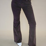 Chic Pistola Brown Cord Pants with flared leg and classic corduroy texture — polished yet laid-back for everyday wear.