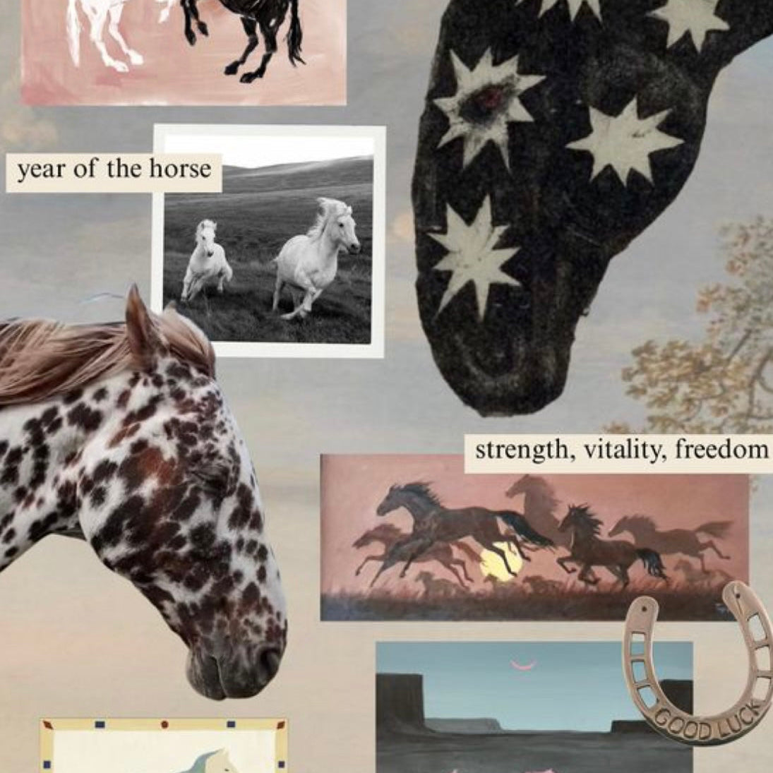 🐎 The Year of the Horse: Fashion That Feels Bold, Free, & In Motion