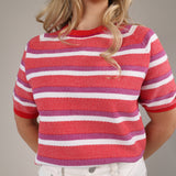 Playful Sundry stripe sweater in pink and white featuring a classic crew neckline and relaxed fit.