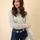 Lightweight metallic-threaded Tinseltown sweater by Z Supply with a crew neck and long sleeves.