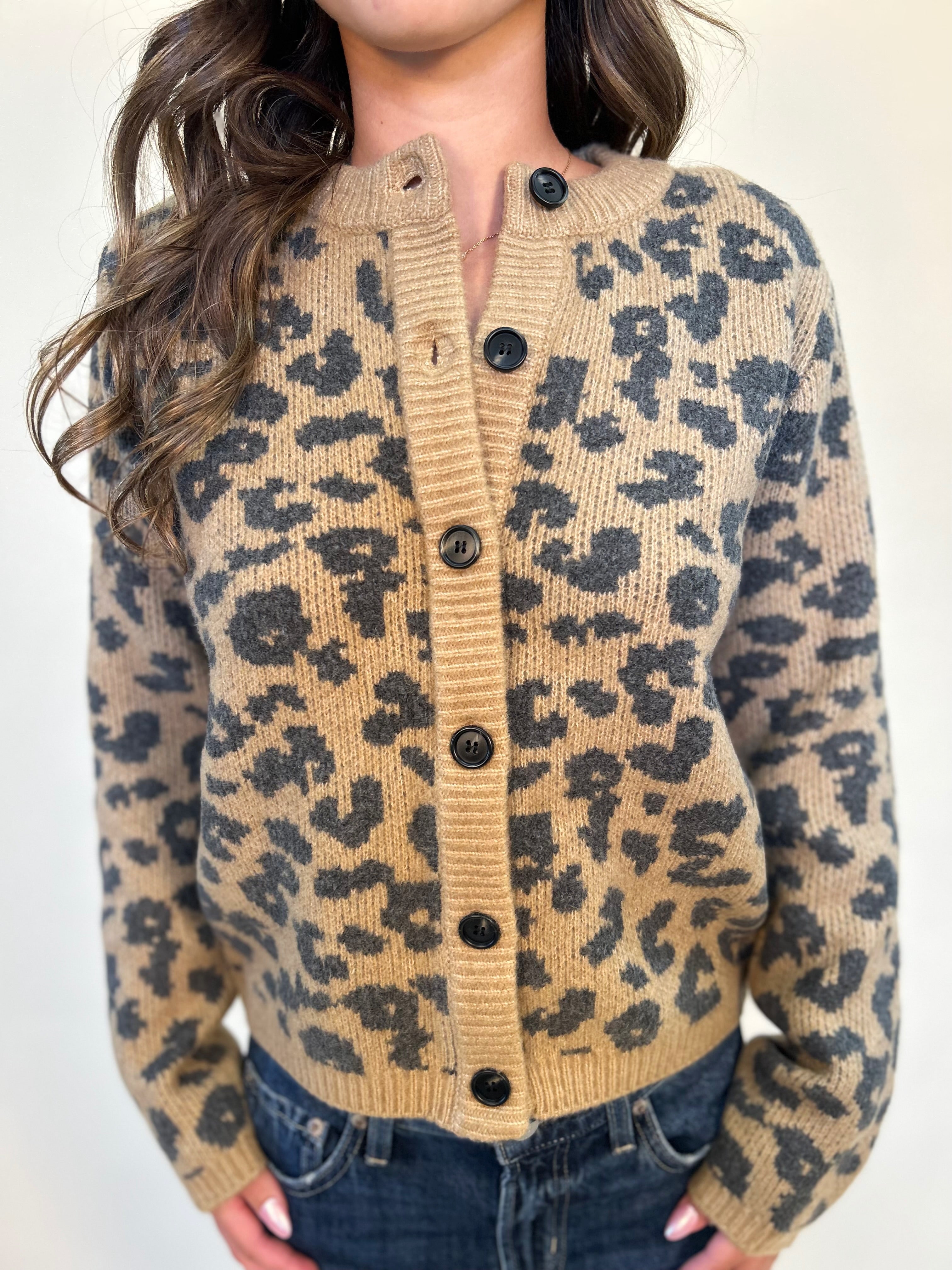 clouse up product image of Amina Cardigan showing details of knit leopard print sweater and front button detail. Dear John brand, Shear Boutique