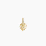 Monstera Parker Charm