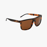 Evans Sunglasses - Tortoise